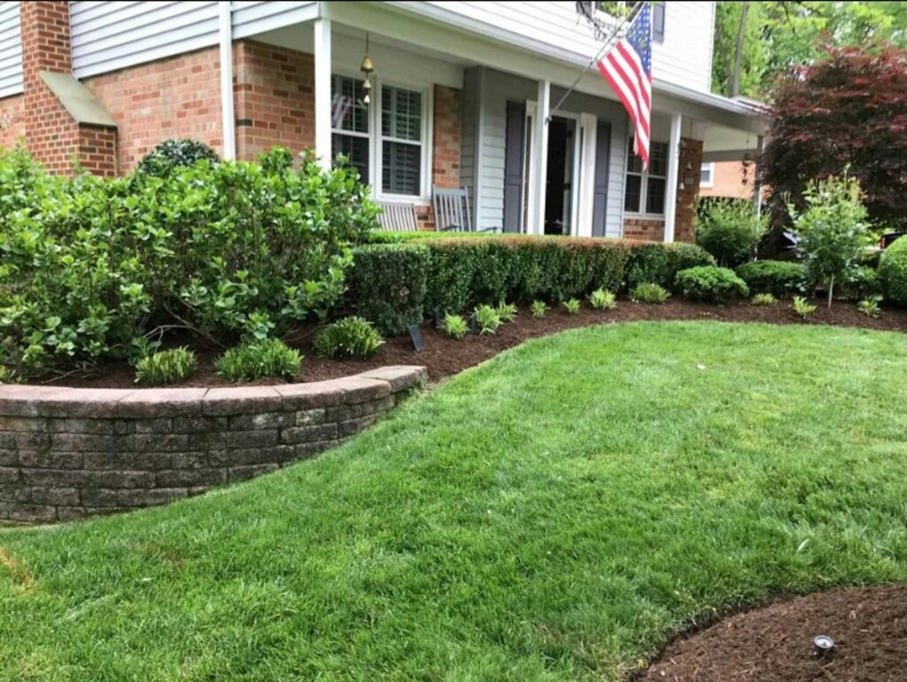 landscapting